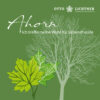 Cover von Ahorn Baumhoroskop Lebensmusik in Verbindung mit der keltischen Mythologie