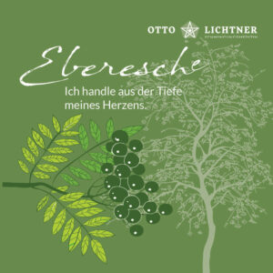 Cover von Eberesche Baumhoroskop Lebensmusik in Verbindung mit der keltischen Mythologie