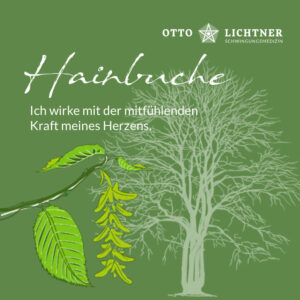 Cover von Hainbuche Baumhoroskop Lebensmusik in Verbindung mit der keltischen Mythologie