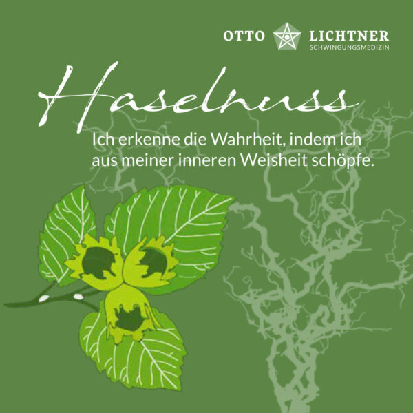 Cover von Haselnuss Baumhoroskop Lebensmusik in Verbindung mit der keltischen Mythologie