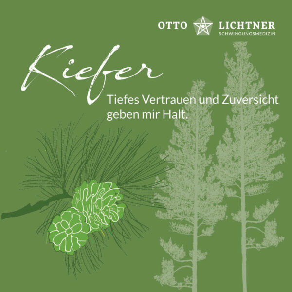 Cover von Kiefer Baumhoroskop Lebensmusik in Verbindung mit der keltischen Mythologie