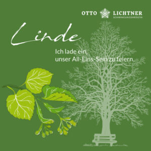 Cover von Linde Baumhoroskop Lebensmusik in Verbindung mit der keltischen Mythologie