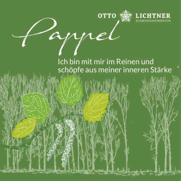 Cover von Pappel Baumhoroskop Lebensmusik in Verbindung mit der keltischen Mythologie