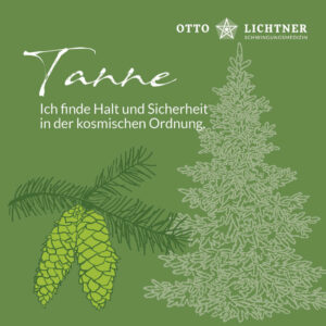 Cover von Tanne Baumhoroskop Lebensmusik in Verbindung mit der keltischen Mythologie