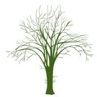Baum Silhouette einer Ulme Baumhoroskop Lebensmusik