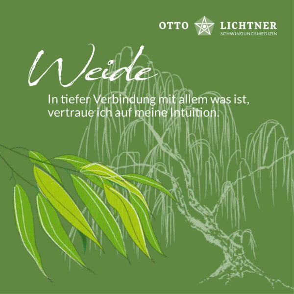 Cover von Weide Baumhoroskop Lebensmusik in Verbindung mit der keltischen Mythologie