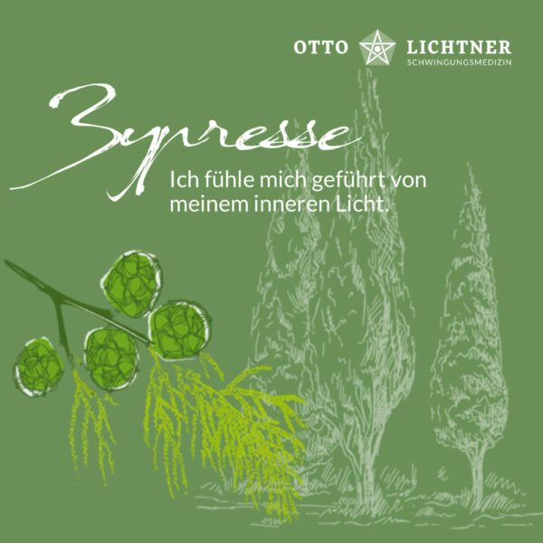 Cover von Zypresse Baumhoroskop Lebensmusik in Verbindung mit der keltischen Mythologie
