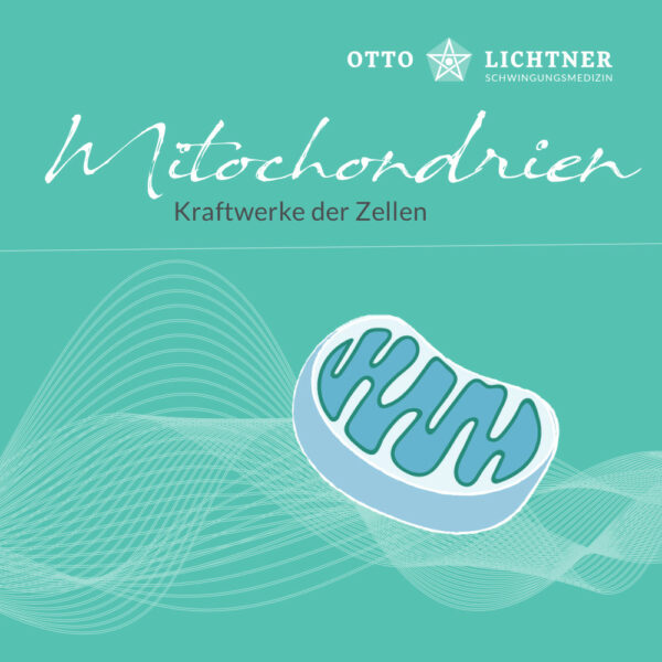 Cover von Mitochondrien Lebensmusik in Verbindung mit der Schwingungsmedizin