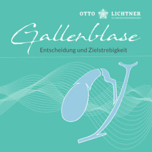 Cover von Gallenblase Lebensmusik in Verbindung mit der Schwingungsmedizin