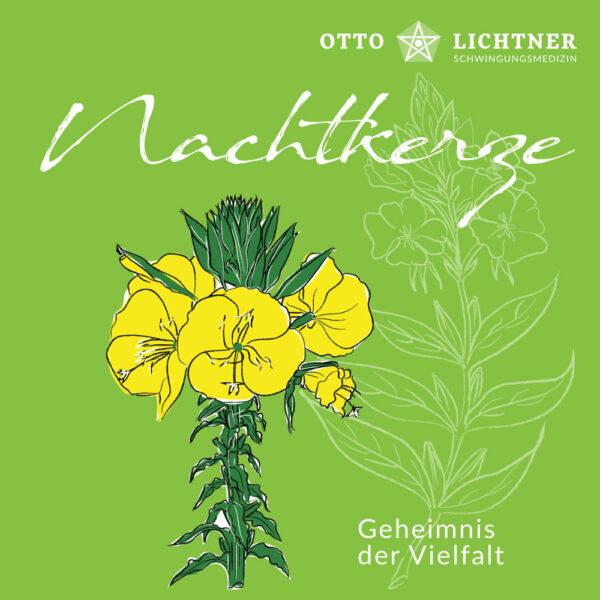 Cover von Nachtkerze in Verbindung mit der Pflanzen Lebensmusik von Otto Lichtner