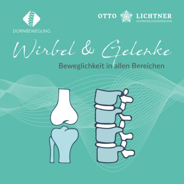 Cover von Wirbel & Gelenke Lebensmusik in Verbindung mit der Schwingungsmedizin