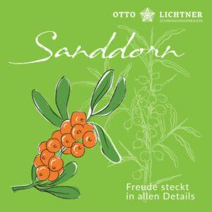Cover von Sanddorn in Verbindung mit der Pflanzen Lebensmusik von Otto Lichtner